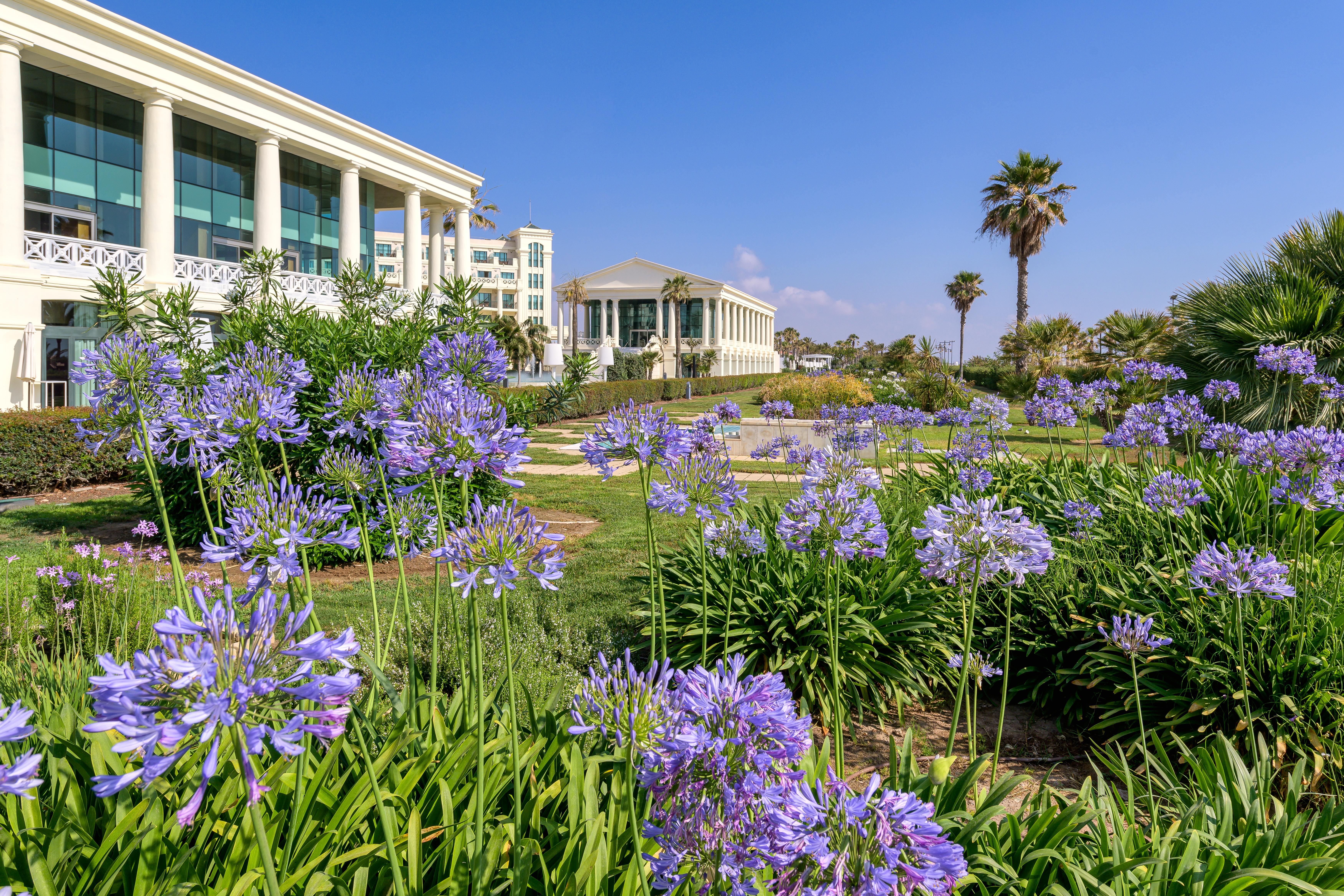 Las Arenas Balneario Resort Valencia Buitenkant foto The campus of the University of Cyprus